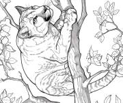 Coloriage Puma qui surveille la proie en ligne