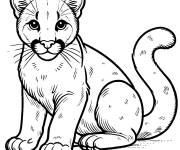 Coloriage Puma qui vous regarde