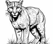 Coloriage Puma r&eacute;aliste en noir GS