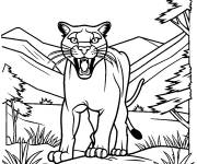 Coloriage et dessins gratuit Puma rugissant dans la nature pour les enfants à imprimer