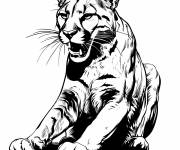 Coloriage Puma rugissant dans la savane