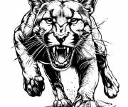 Coloriage Puma rugissant en attaquant