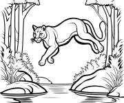 Coloriage Puma sautant par dessus un ruisseau