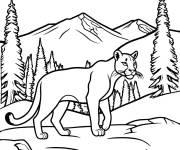 Coloriage Puma  se balade dans la nature