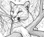 Coloriage Puma se cache dans l'arbre gs