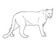 Coloriage et dessins gratuit Puma simple dessin&eacute; au crayon noir à imprimer