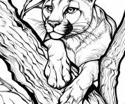 Coloriage Puma sur branche d'arbre en noir et blanc