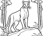 Coloriage Puma sur un rochet