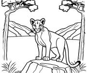 Coloriage Puma sur une falaise rocheuse