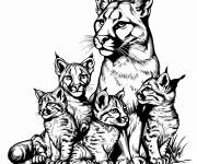 Coloriage Quatre puma avec leurs m&egrave;res