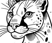 Coloriage Tete de Puma