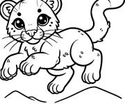 Coloriage Un jeune Puma
