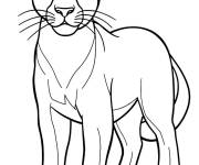Coloriage Un jeune Puma au portrait