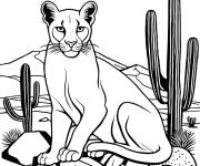Coloriage Un Puma  dans le desert