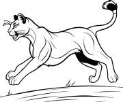 Coloriage Un Puma  qui court