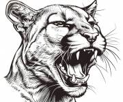 Coloriage Un Puma rugissant