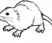 Coloriage et dessins gratuit Rat en vecteur à imprimer