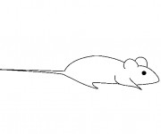 Coloriage et dessins gratuit Une souris stylisé à imprimer
