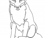 Coloriage Le Renard te regarde