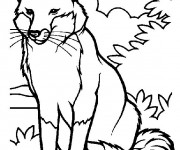 Coloriage et dessins gratuit Renard dans la nature à imprimer