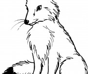 Coloriage et dessins gratuit Renard Roux à imprimer