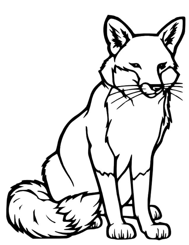 Coloriage Renard Vecteur Dessin Gratuit à Imprimer