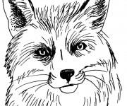 Coloriage Tête de Renard en noir