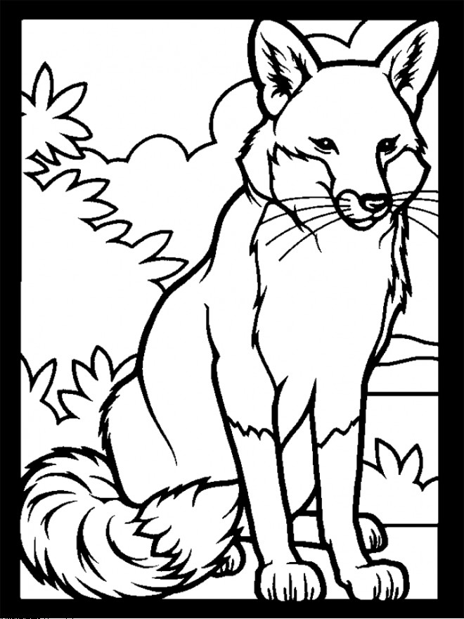 Coloriage un beau Renard à colorier dessin gratuit à imprimer