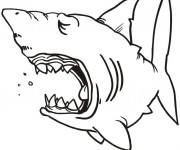 Coloriage Requin dormant