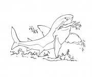 Coloriage Requin en colère