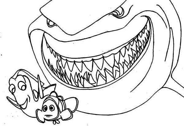 Coloriage Requin Et Les Poissons Dessin Gratuit à Imprimer