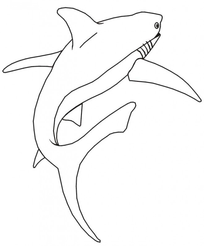 Coloriage Requin facile dessin gratuit à imprimer