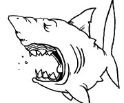 Coloriage Requin paresseux