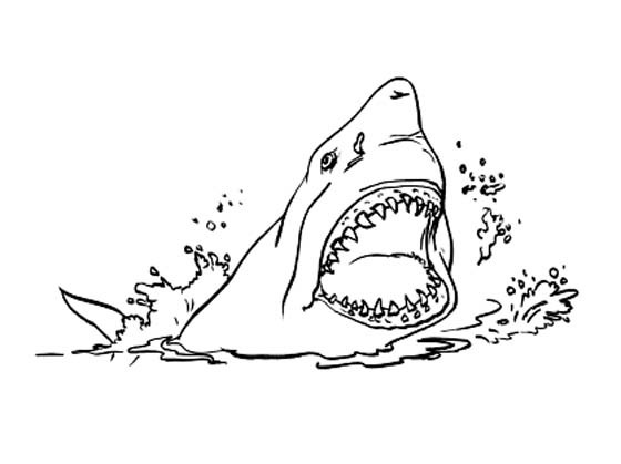 Coloriage et dessins gratuits Requin prédateur à imprimer