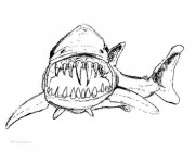 Coloriage Requin qui fait peur