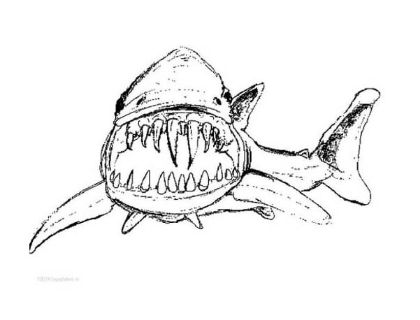 Coloriage et dessins gratuits Requin qui fait peur à imprimer
