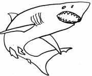 Coloriage Requin simple