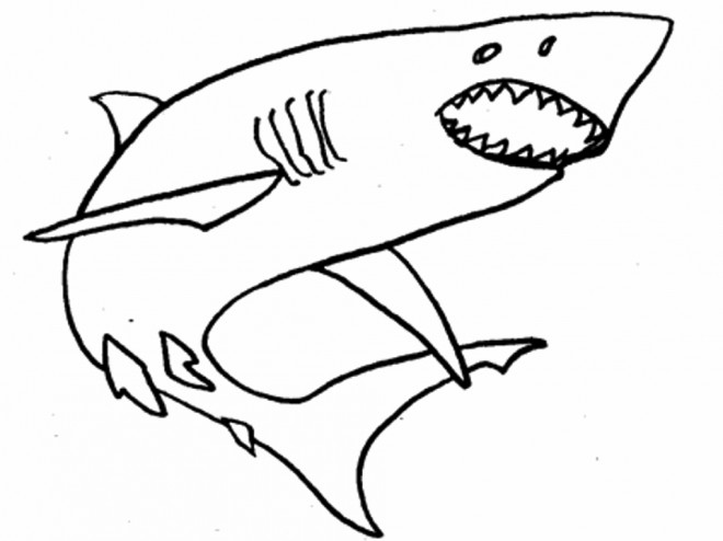Coloriage Requin simple dessin gratuit à imprimer