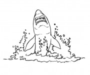 Coloriage Requin sort de l'eau