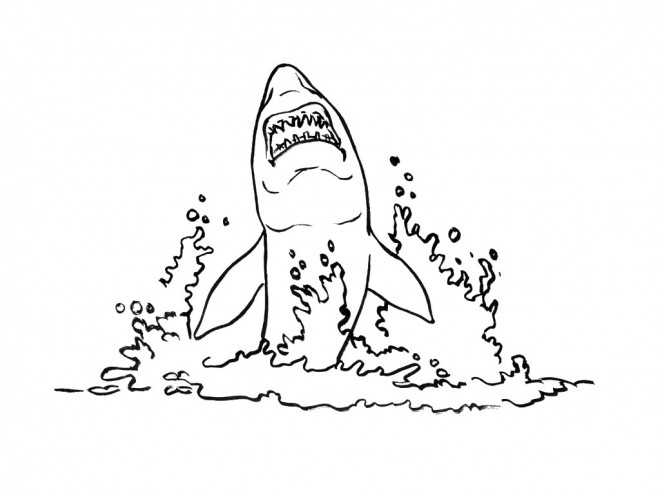 Coloriage et dessins gratuits Requin sort de l'eau à imprimer