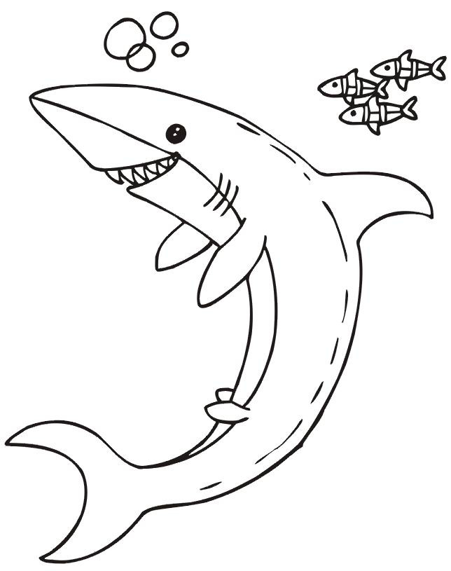 Coloriage Requin Souriant Dessin Gratuit Imprimer