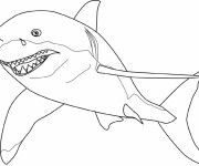 Coloriage Requin tigre