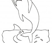 Coloriage Requin tout en sautant