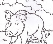 Coloriage et dessins gratuit Sanglier 19 à imprimer