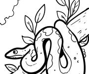 Coloriage Anaconda d'amazonie