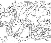 Coloriage Anaconda dangereux