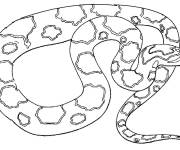 Coloriage Anaconda se reposant