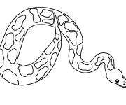 Coloriage Animal Serpent