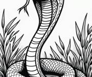 Coloriage Animaux reptile serpent