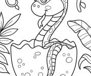 Coloriage B&eacute;b&eacute; serpent &eacute;clos d'un &oelig;uf